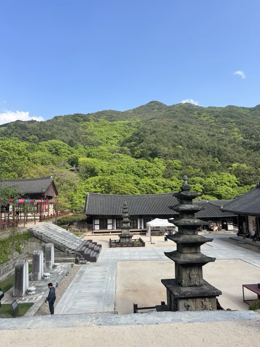 A Two-Day Guide to Gurye: Slow Travel Through Temples, Tea, and Country Charm