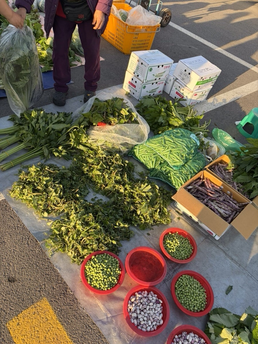 [Wonju Guide] A Half-Day Route Through Wonju’s Morning Market, Dumplings, Coffee, and Makguksu